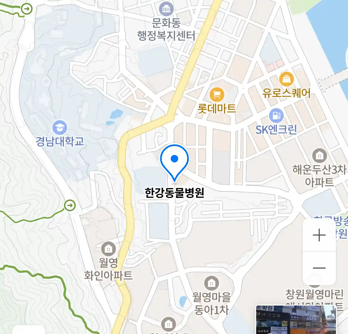 한강동물병원 위치