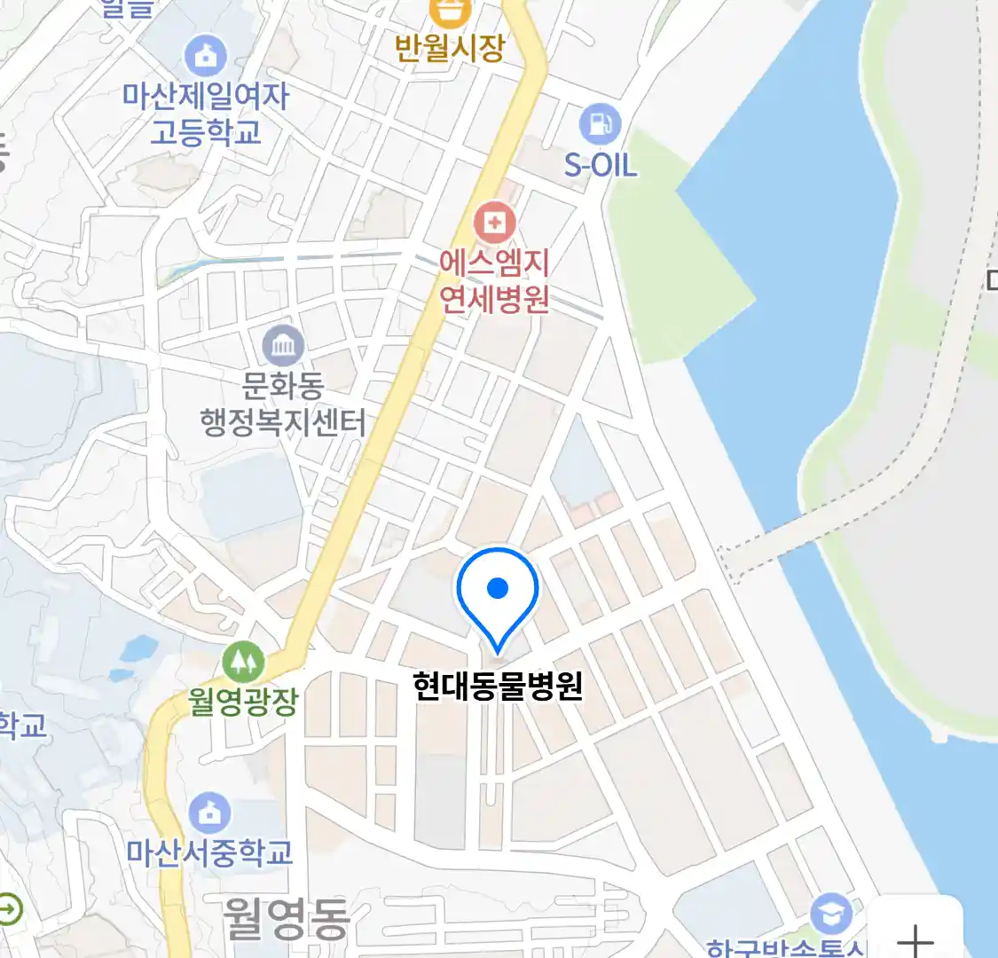 현대동물병원 위치