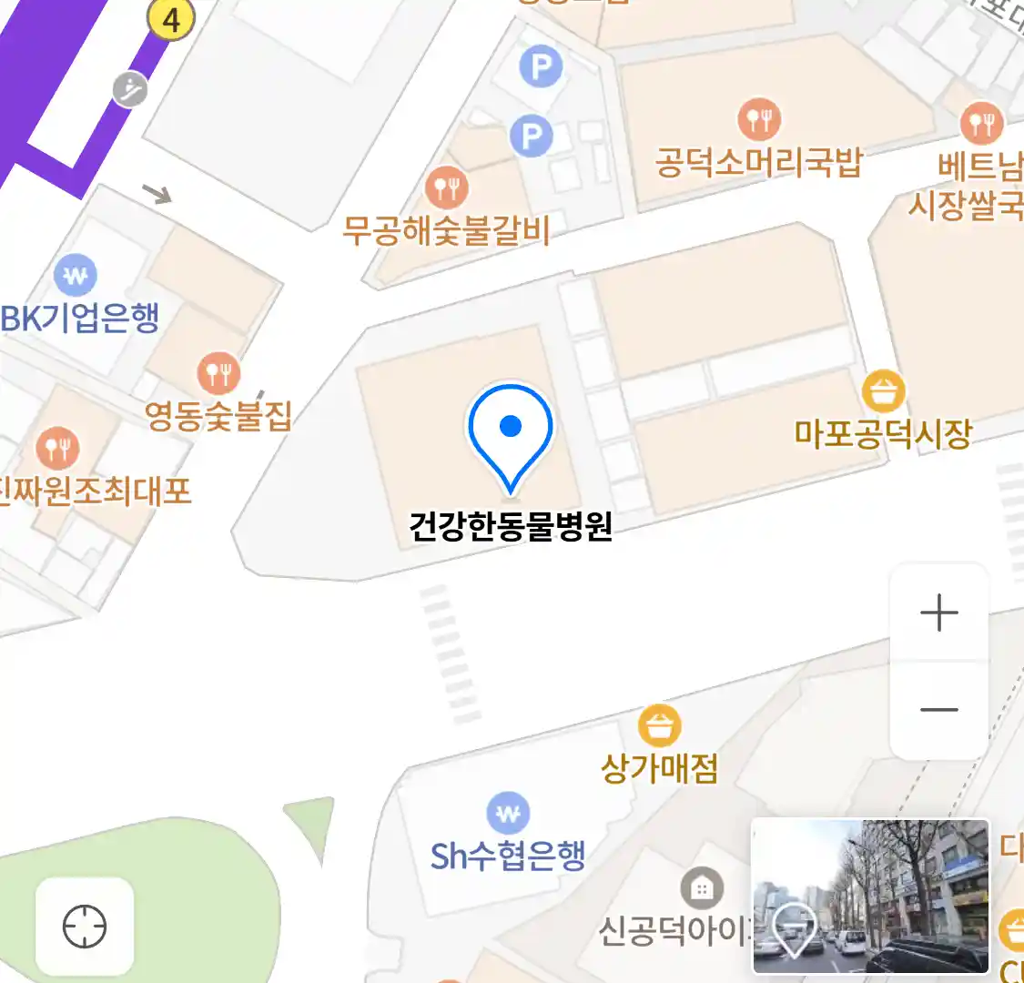 건강한동물병원 위치