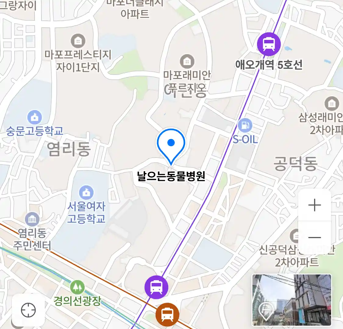날으는동물병원 위치