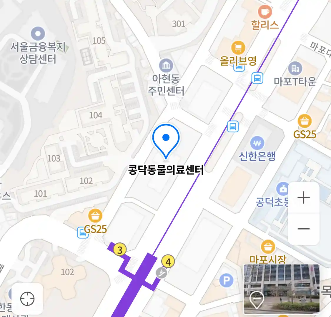 콩닥동물의료센터 위치