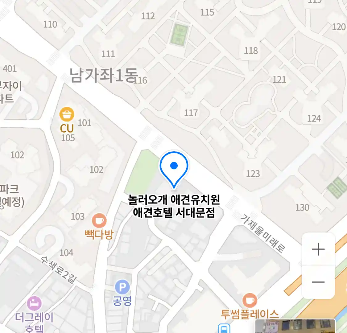 놀러오개 애견유치원 애견호텔 서대문점 위치