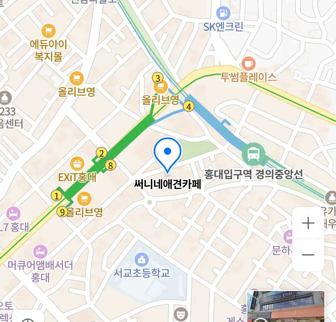 써니네애견카페 위치
