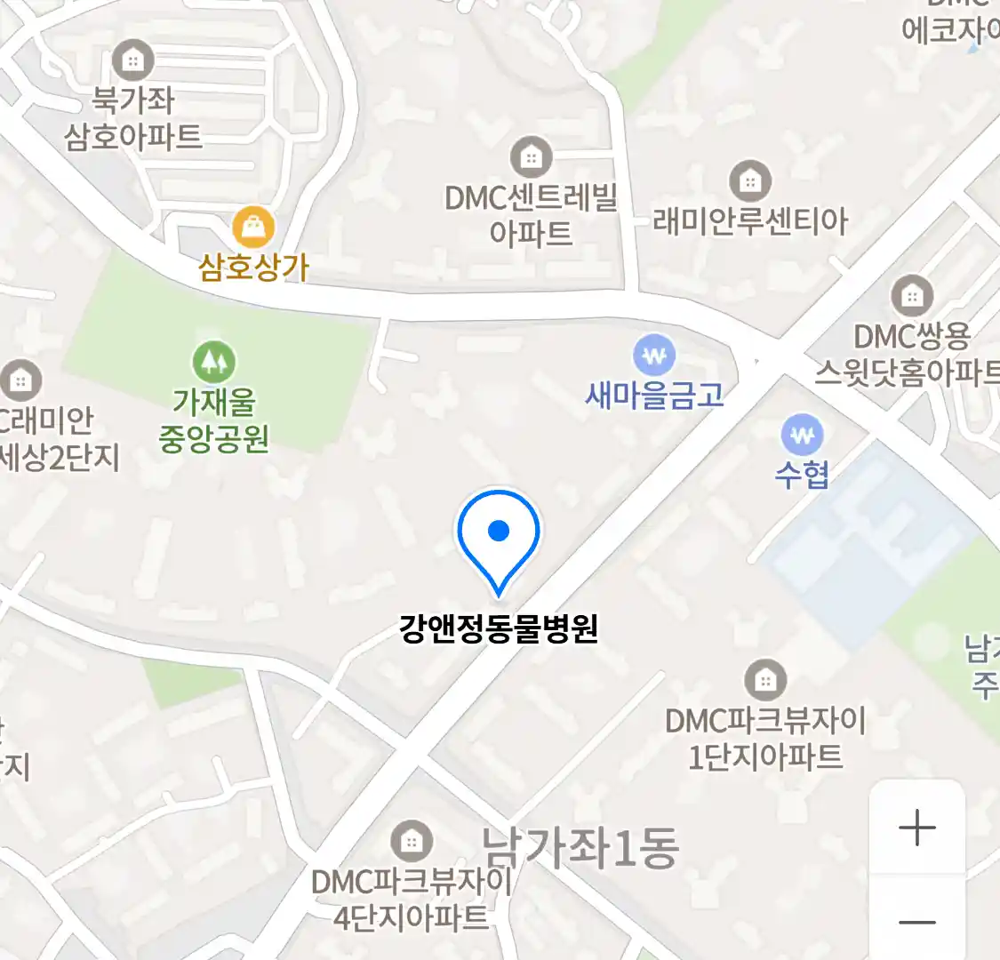 강앤정동물병원 위치
