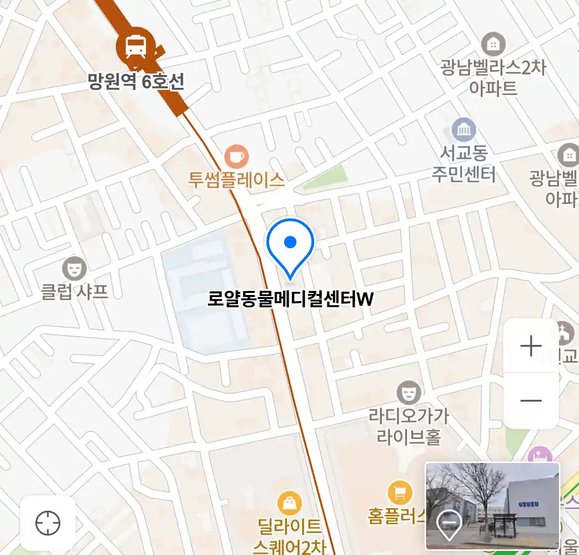 로얄동물메디컬센터W 위치