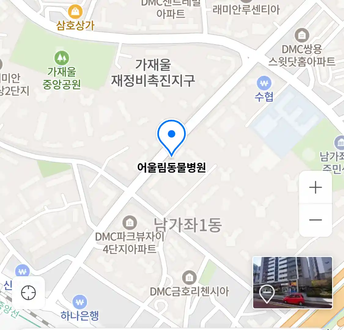 어울림동물병원 위치