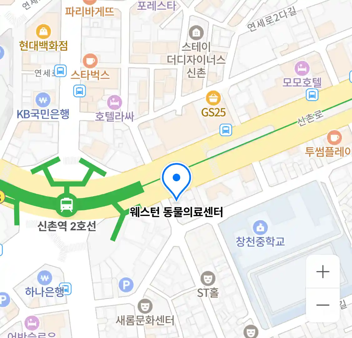 웨스턴 동물의료센터 위치