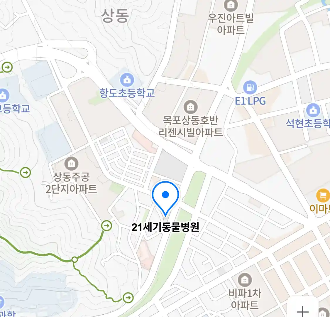 21세기동물병원 위치