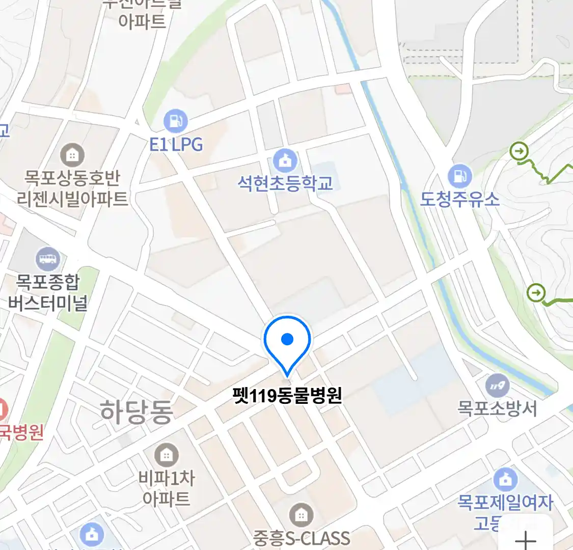 펫119동물병원 위치