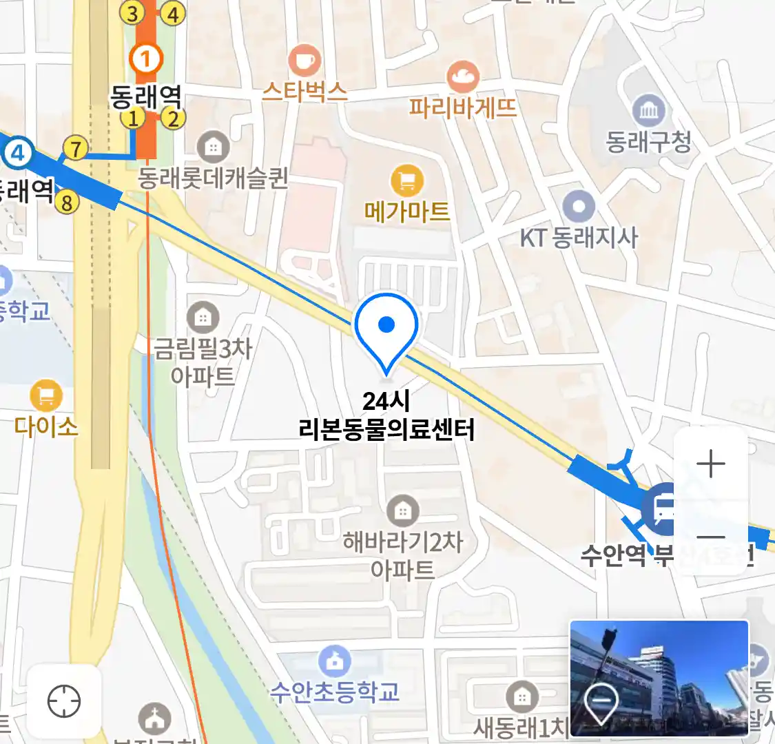 24시 리본동물의료센터 위치