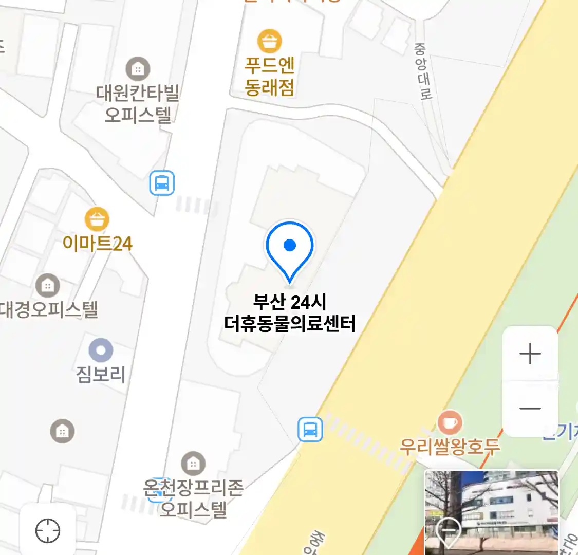 부산 24시 더휴동물의료센터 위치