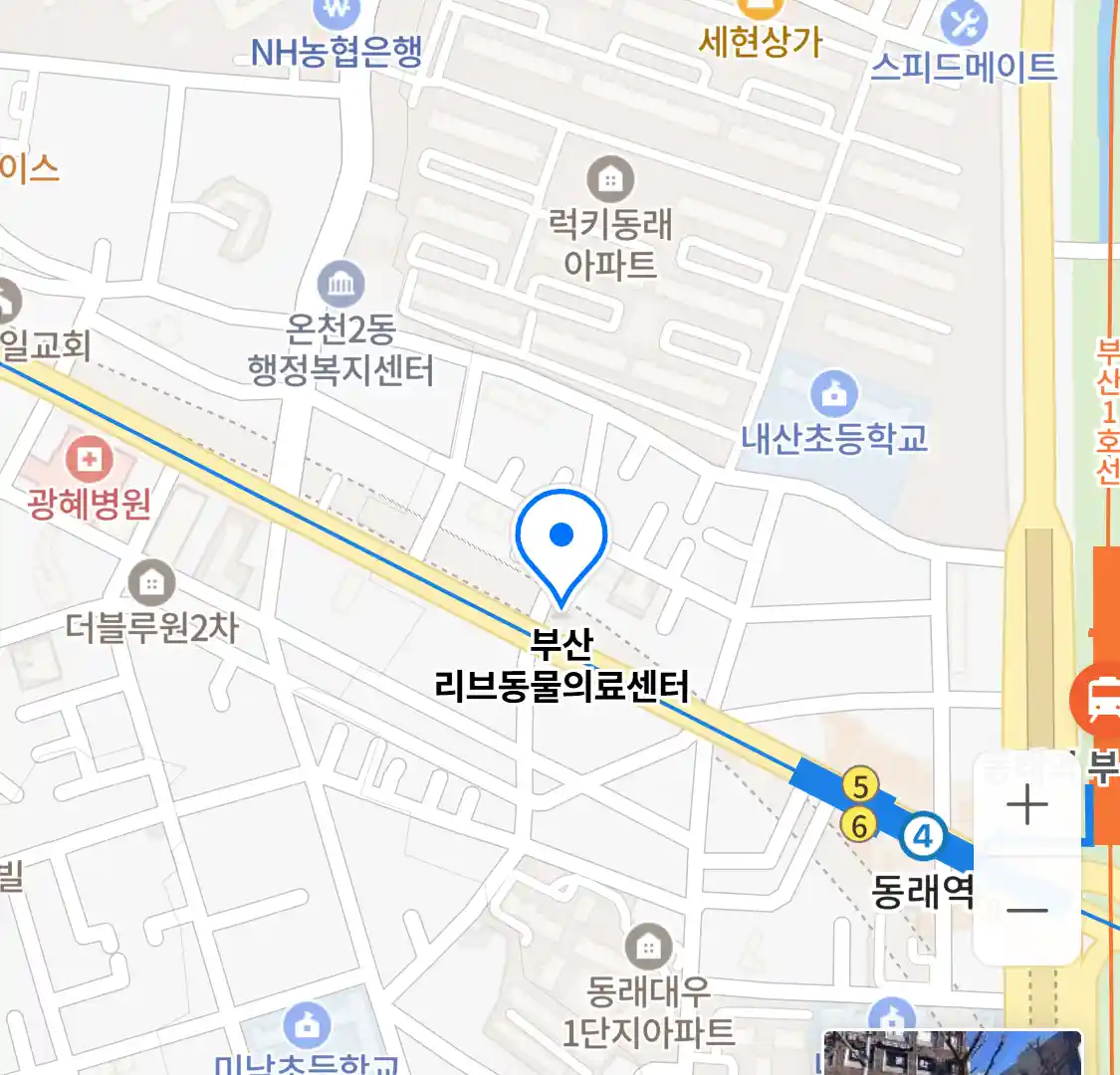 부산 리브동물의료센터