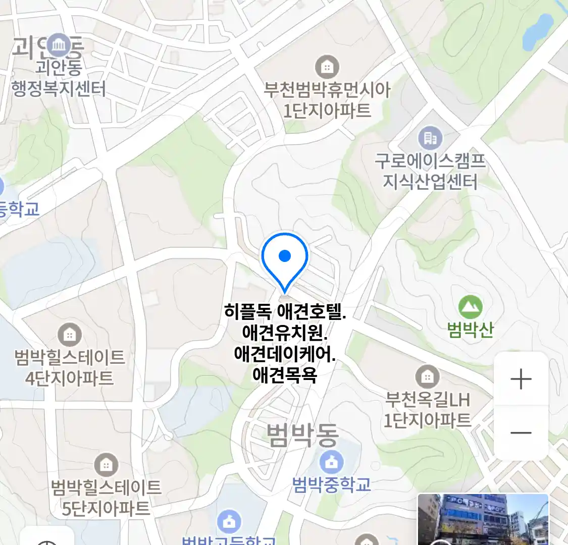 히플독 애견호텔 위치