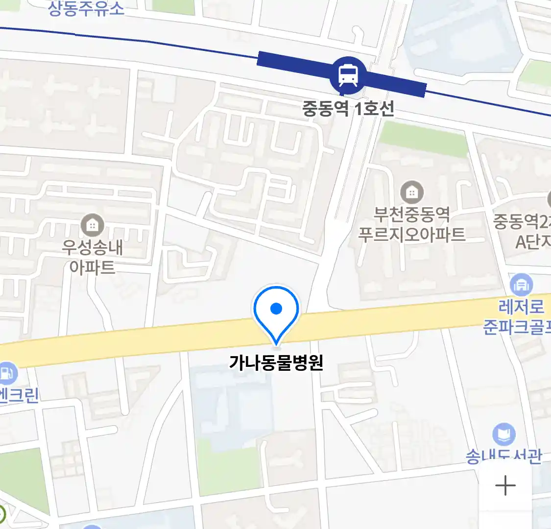 가나동물병원 위치