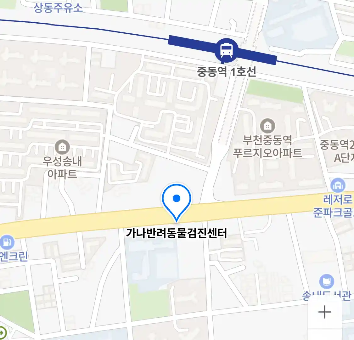 가나반려동물검진센터 위치