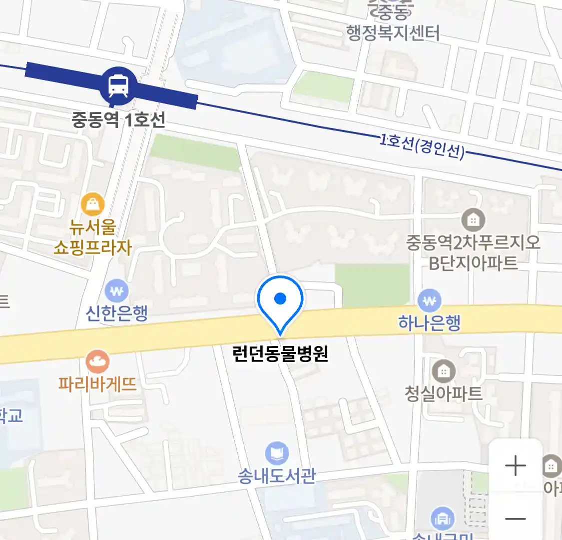 런던동물병원 위치
