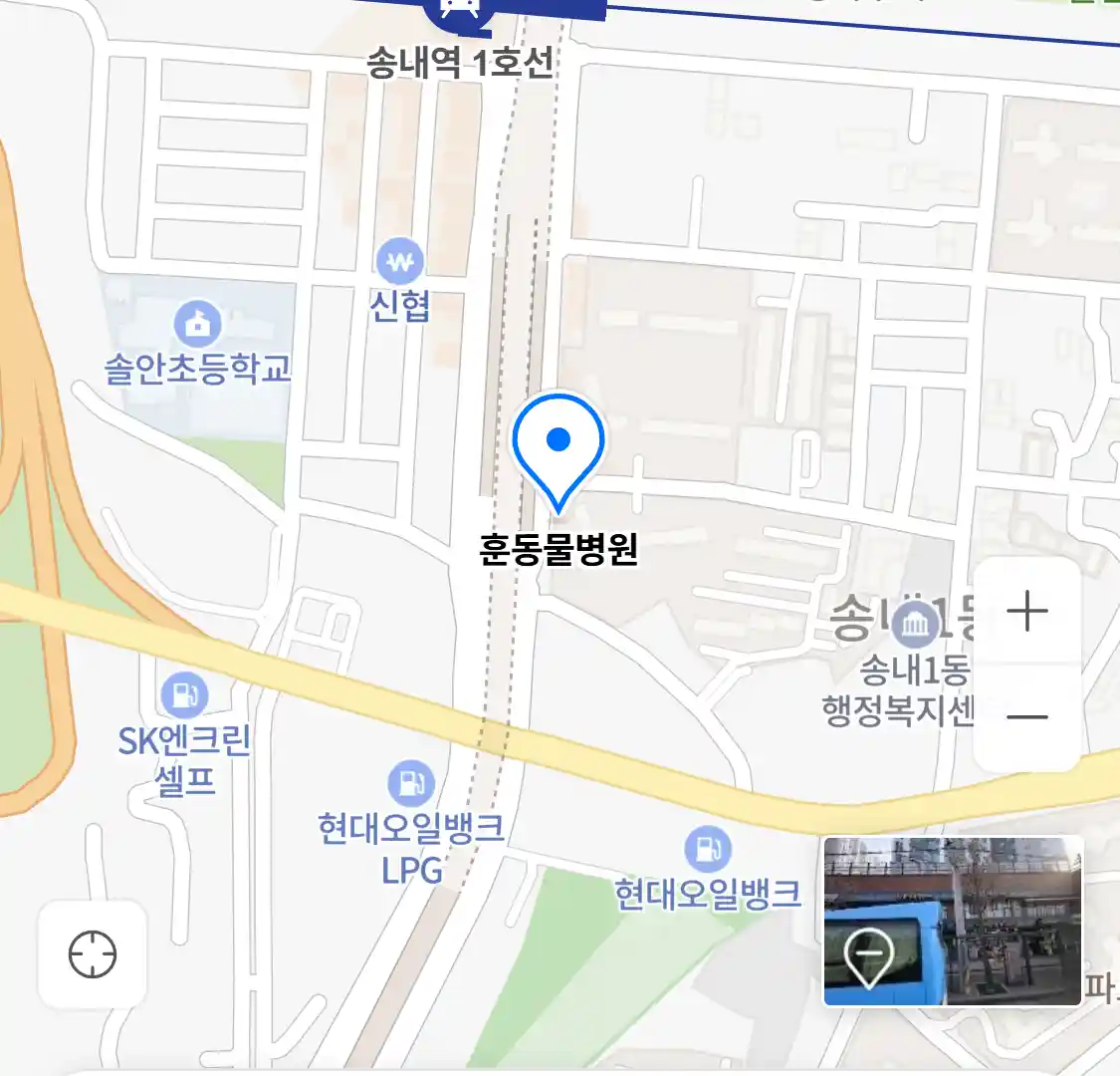 훈동물병원 위치