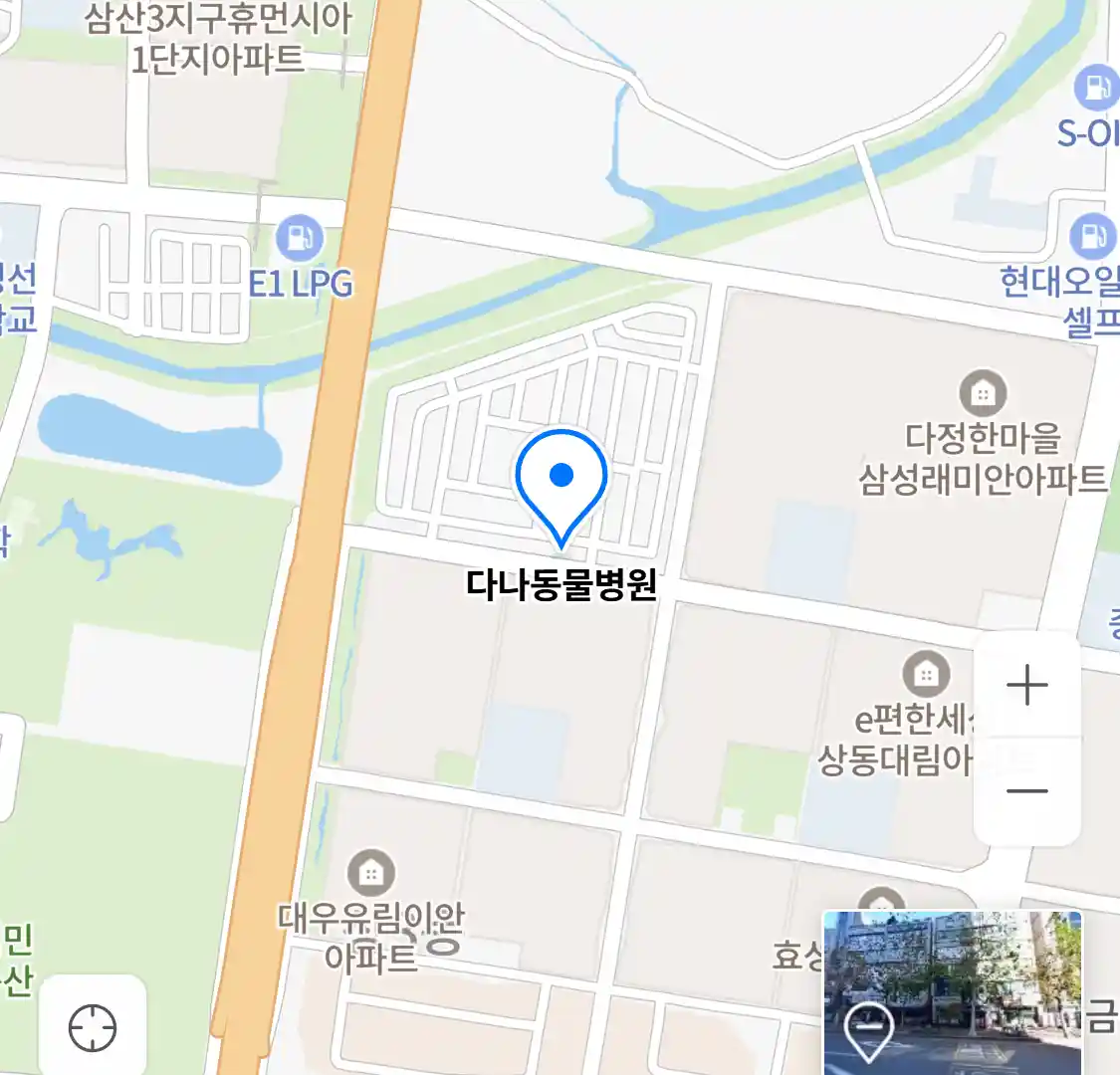 다나동물병원 위치