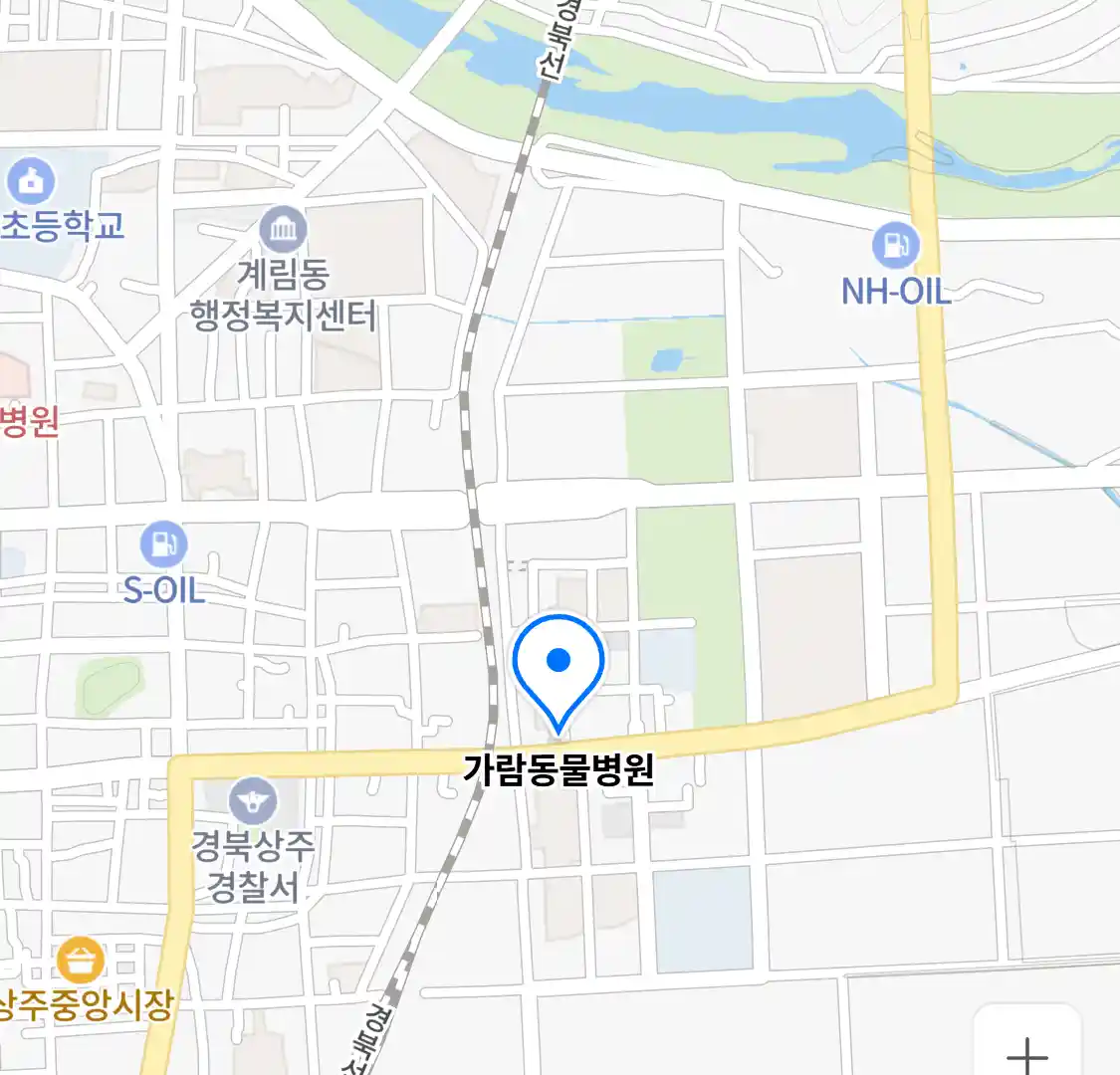 가람동물병원 위치