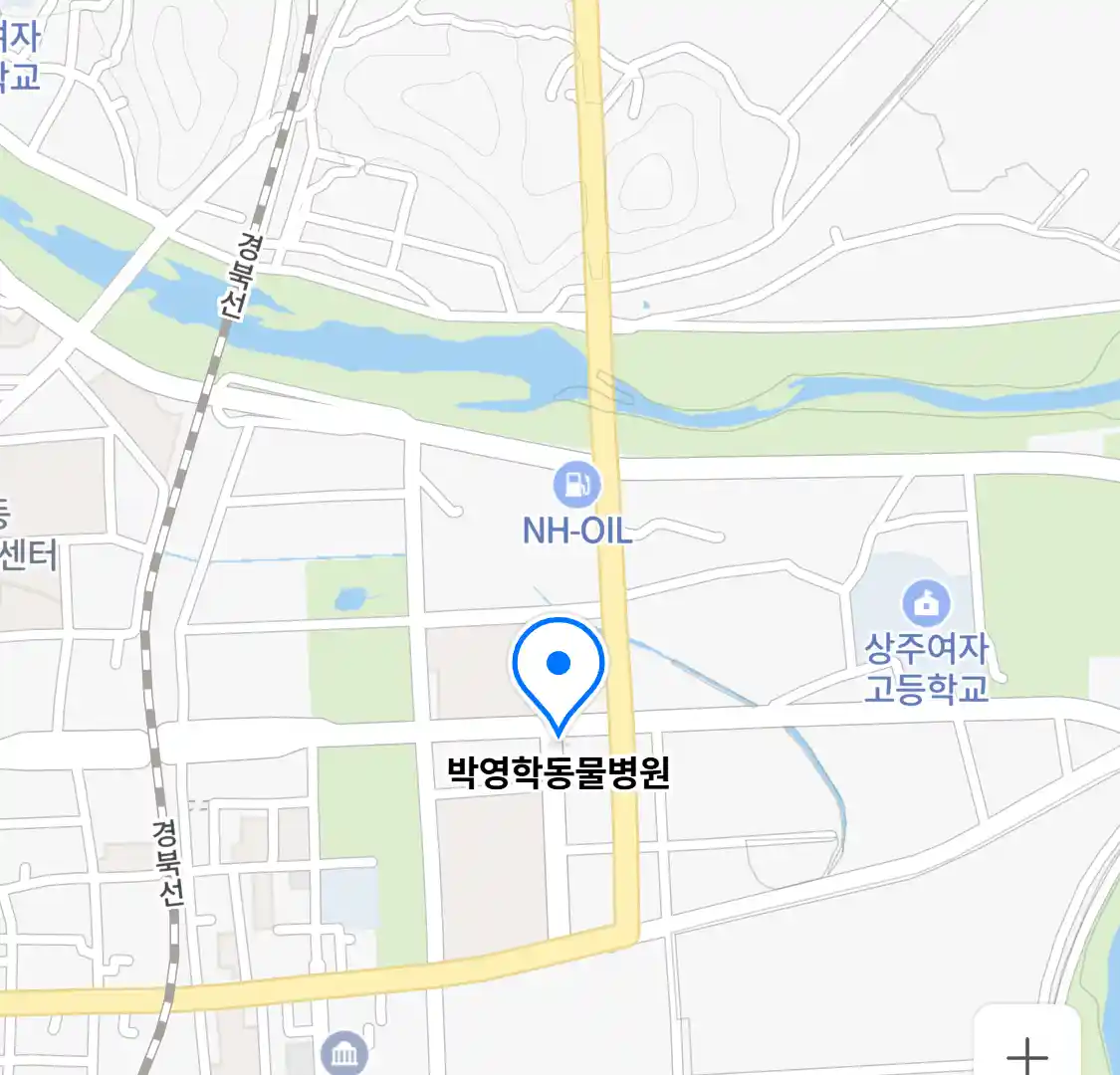 박영학동물병원 위치