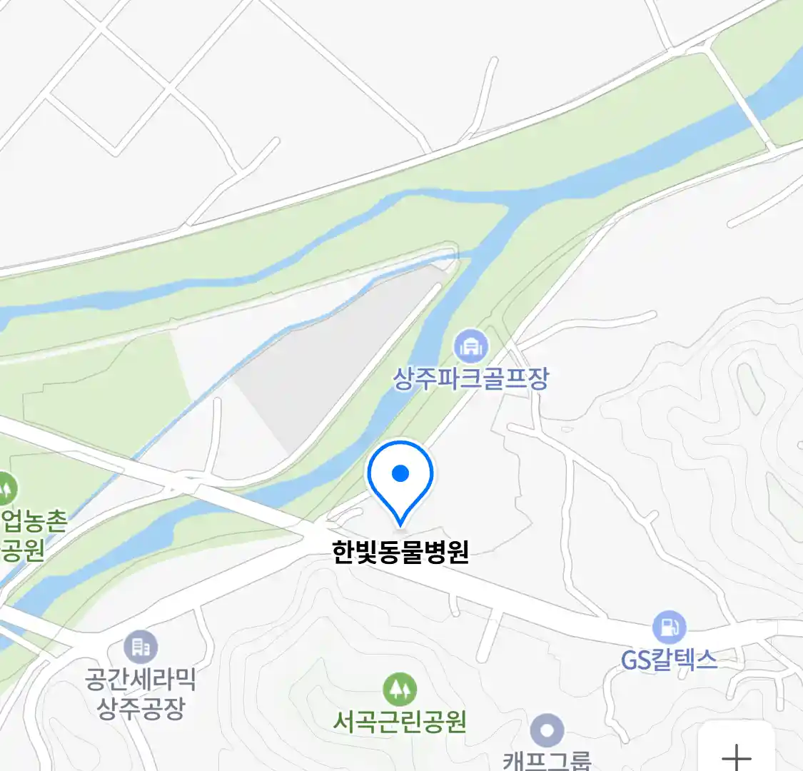 한빛동물병원 위치