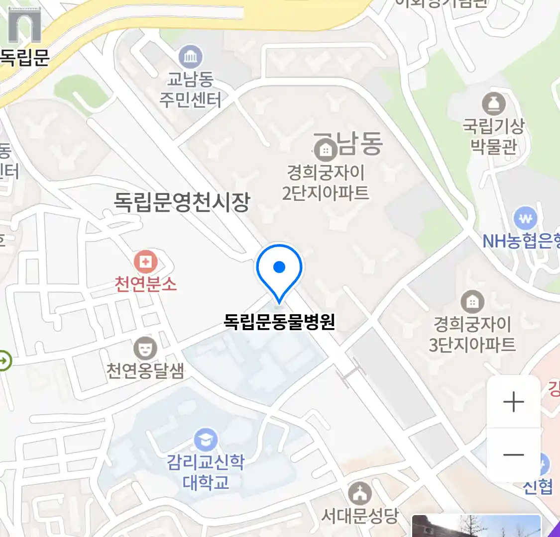 독립문동물병원 위치
