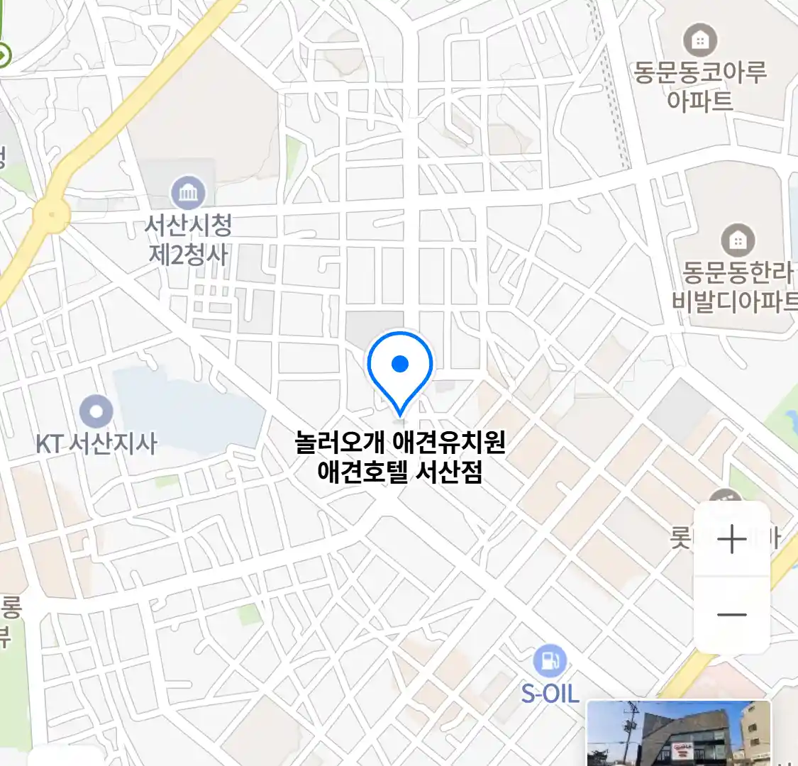 놀러오개 애견유치원 애견호텔 서산점 위치