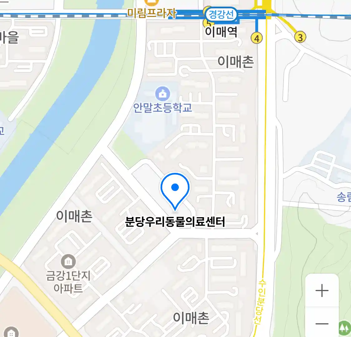 분당우리동물의료센터 위치