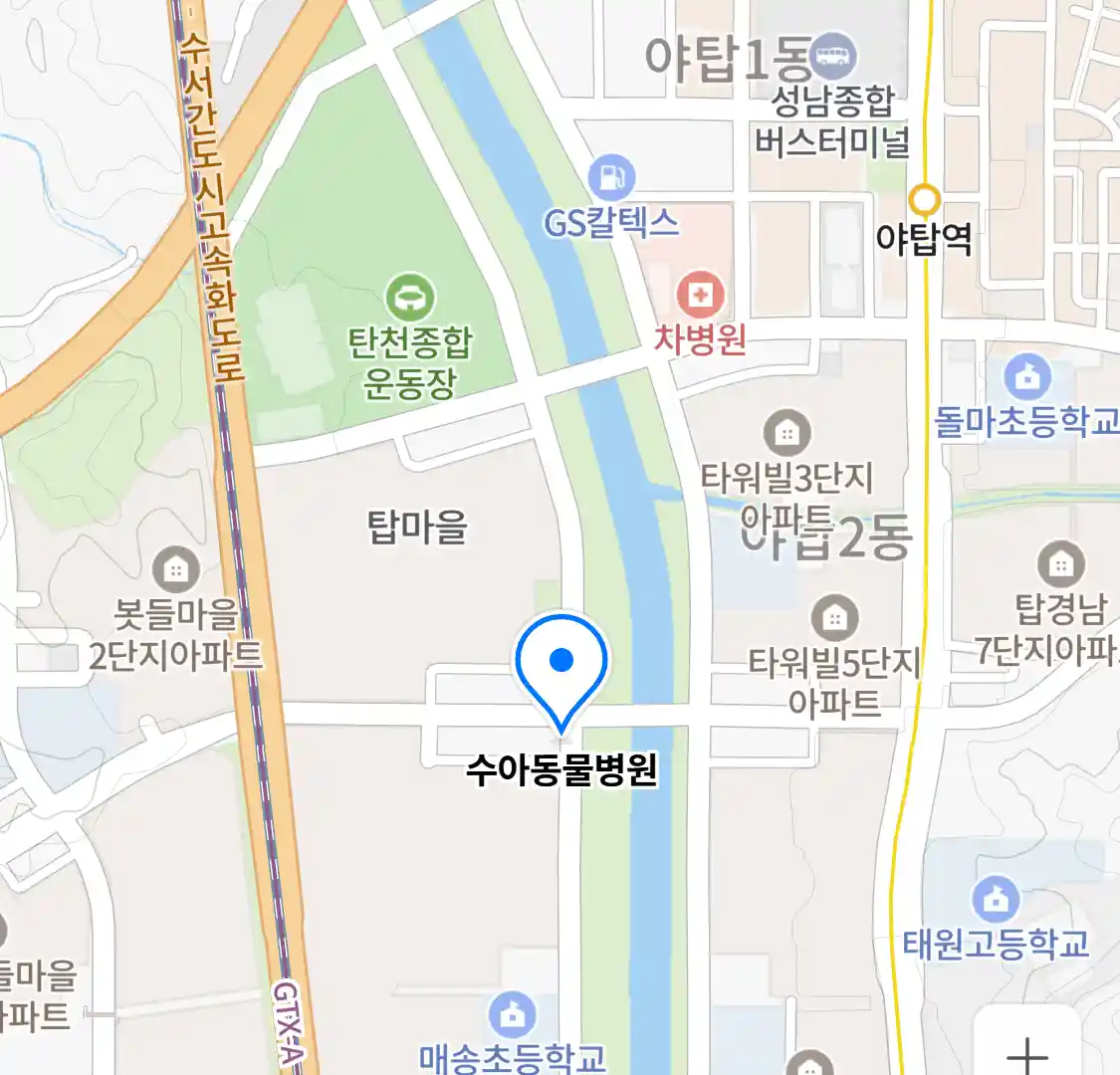 수아동물병원 위치