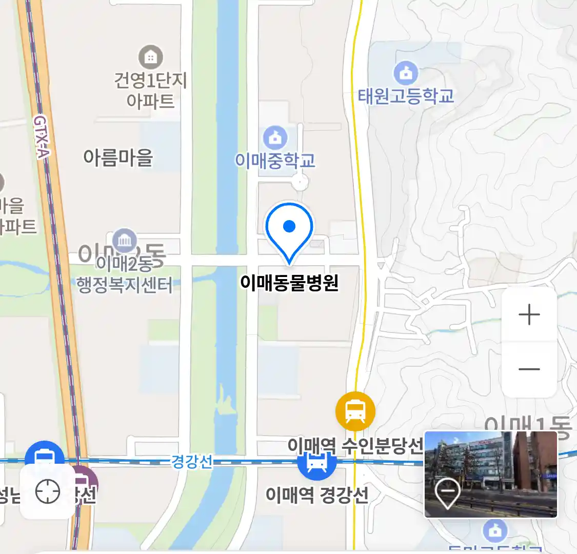 이매동물병원 위치