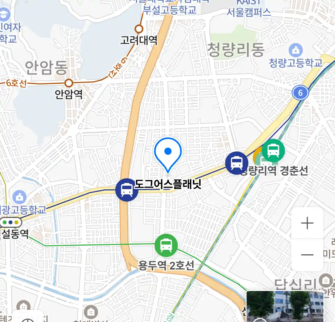 도그어스플래닛 위치