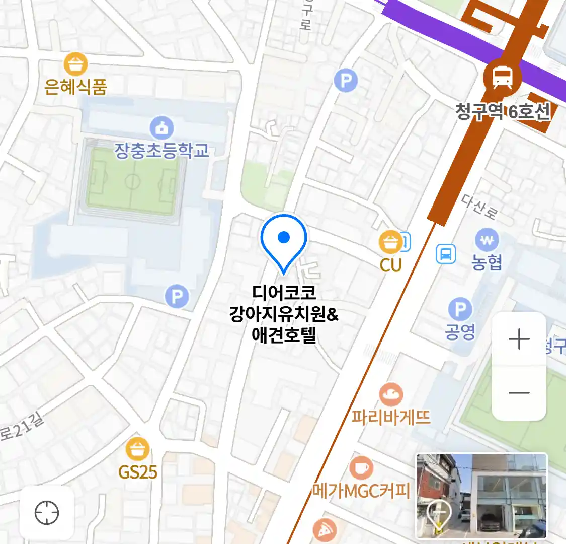 디어코코 강아지유치원&애견호텔 위치