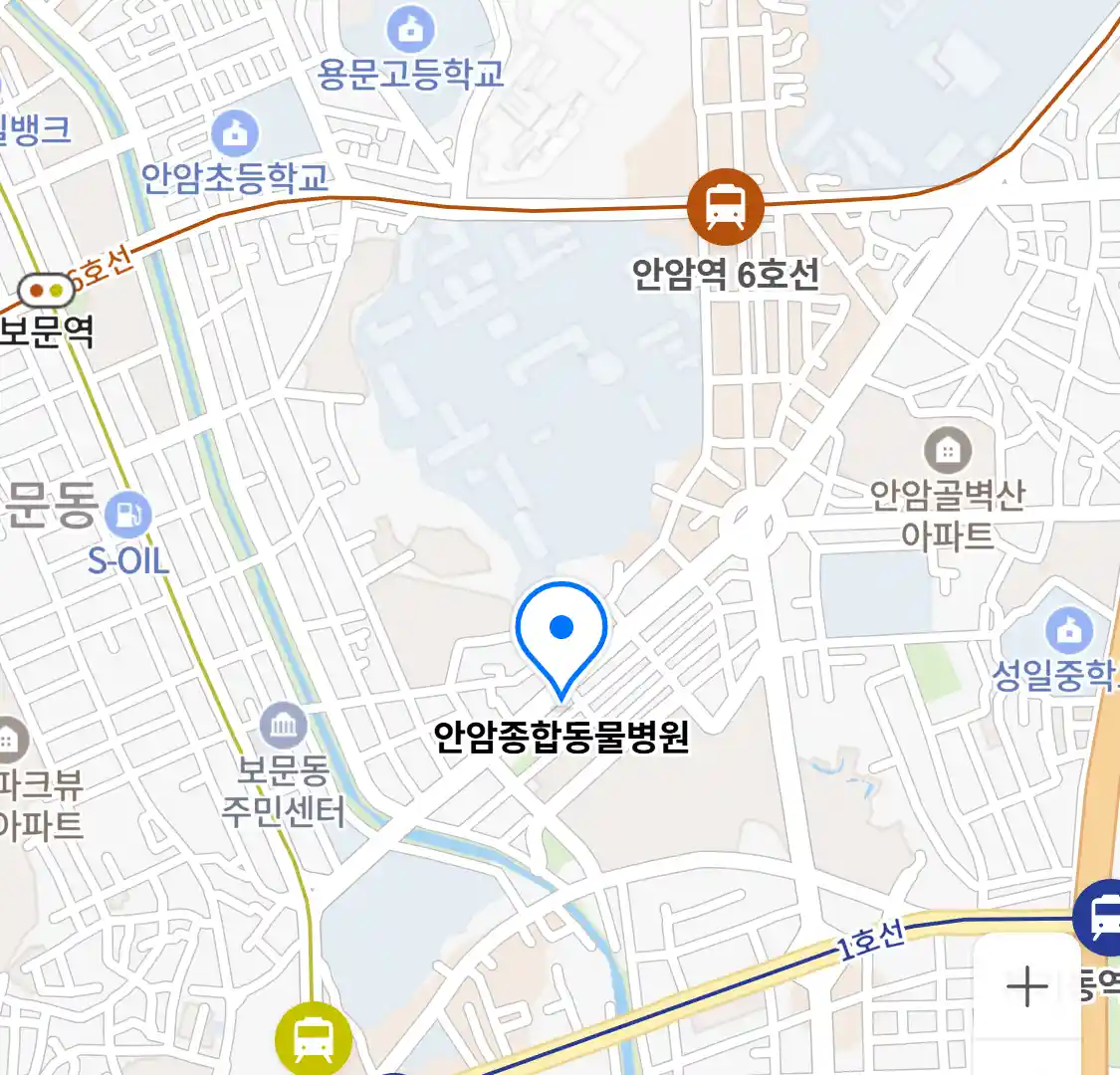 안암종합동물병원 위치