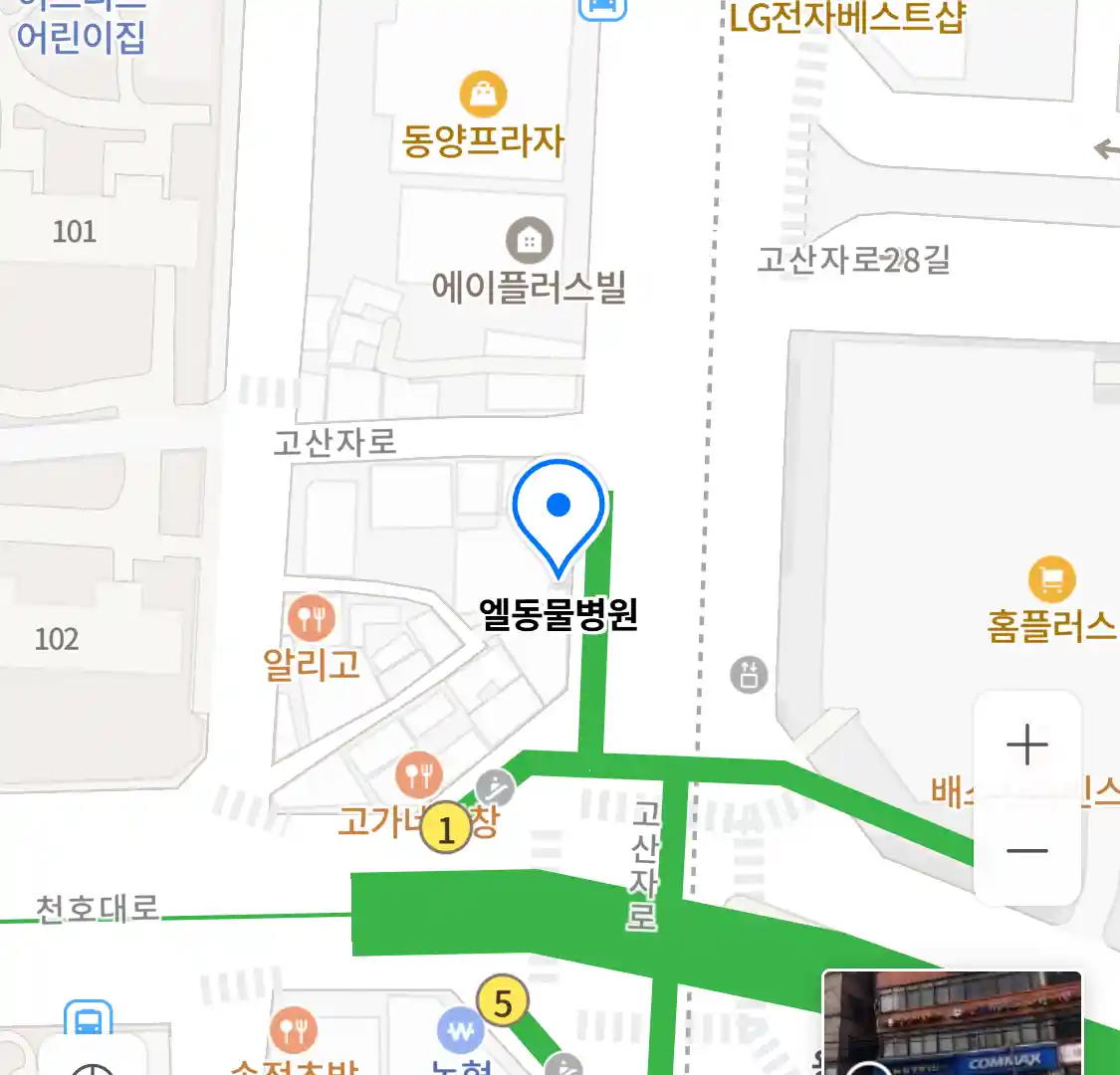 엘동물병원 위치