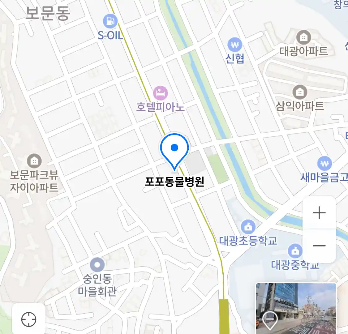 포포동물병원 위치