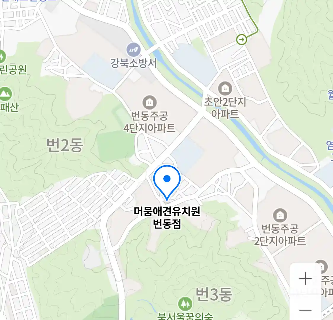 머뭄애견유치원 번동점 위치