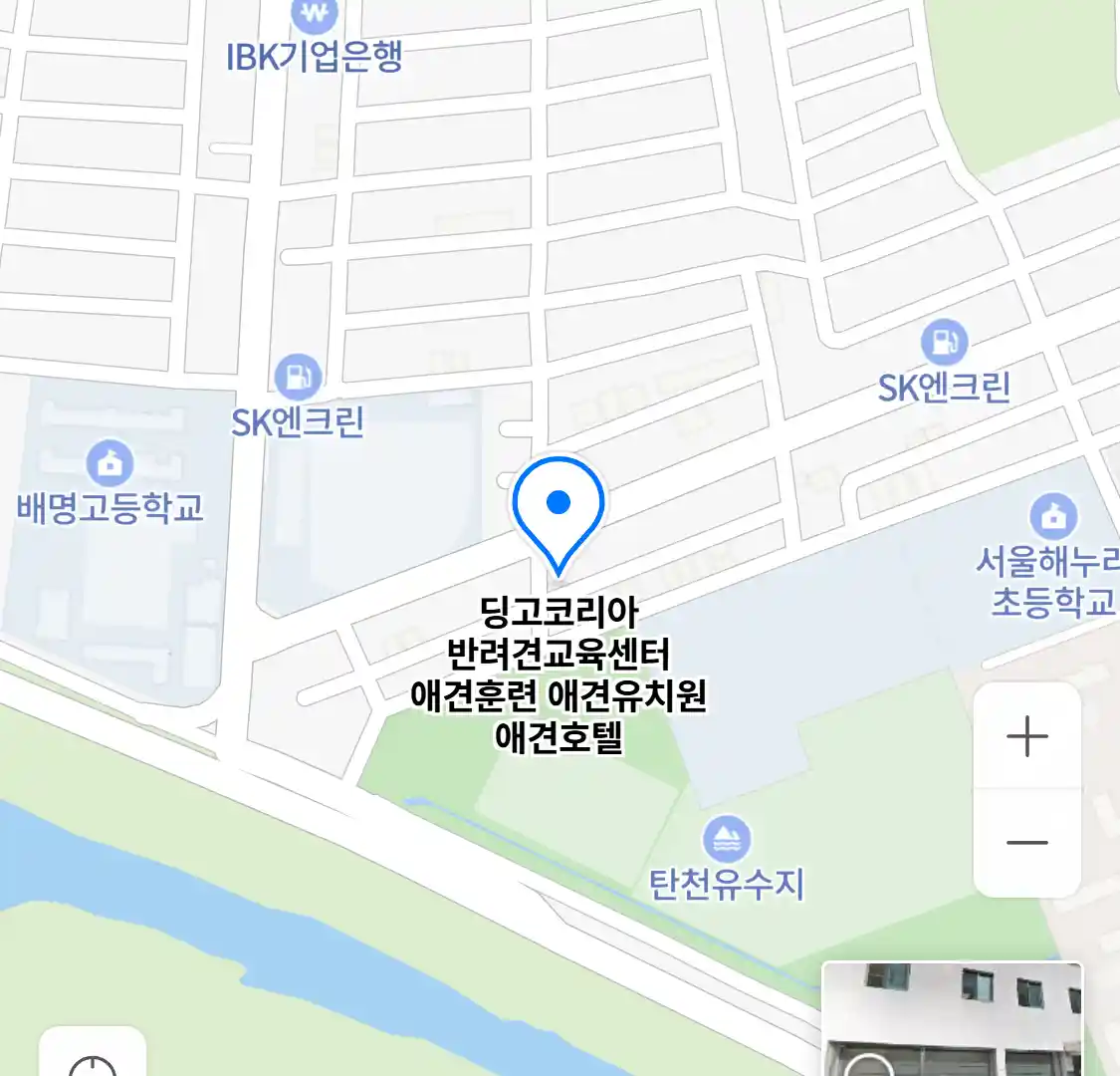 딩고코리아 반려견교육센터 위치