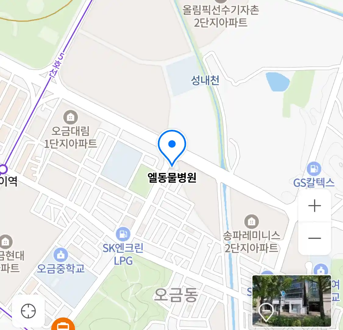 엘동물병원 위치