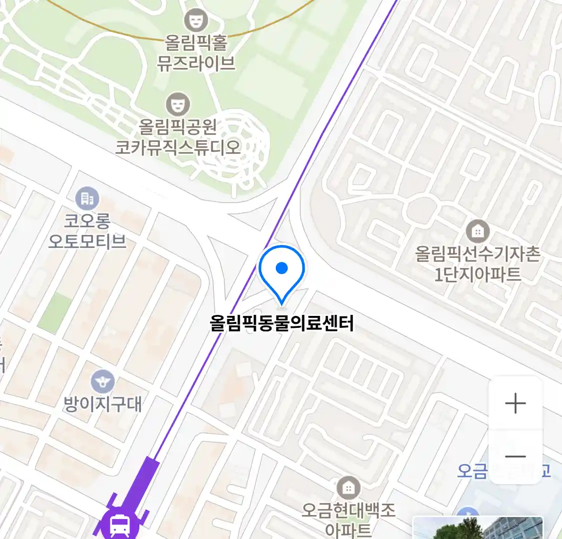 올림픽동물의료센터 위치