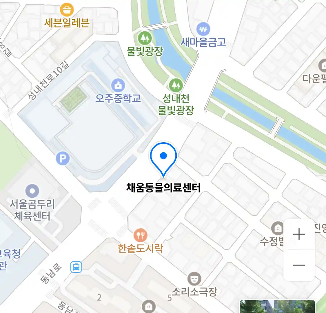 채움동물의료센터 위치