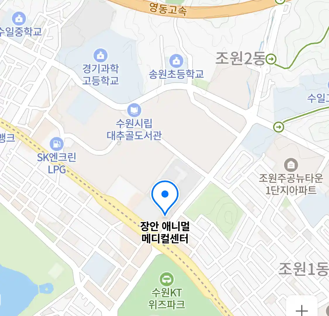 장안 애니멀 메디컬센터 위치
