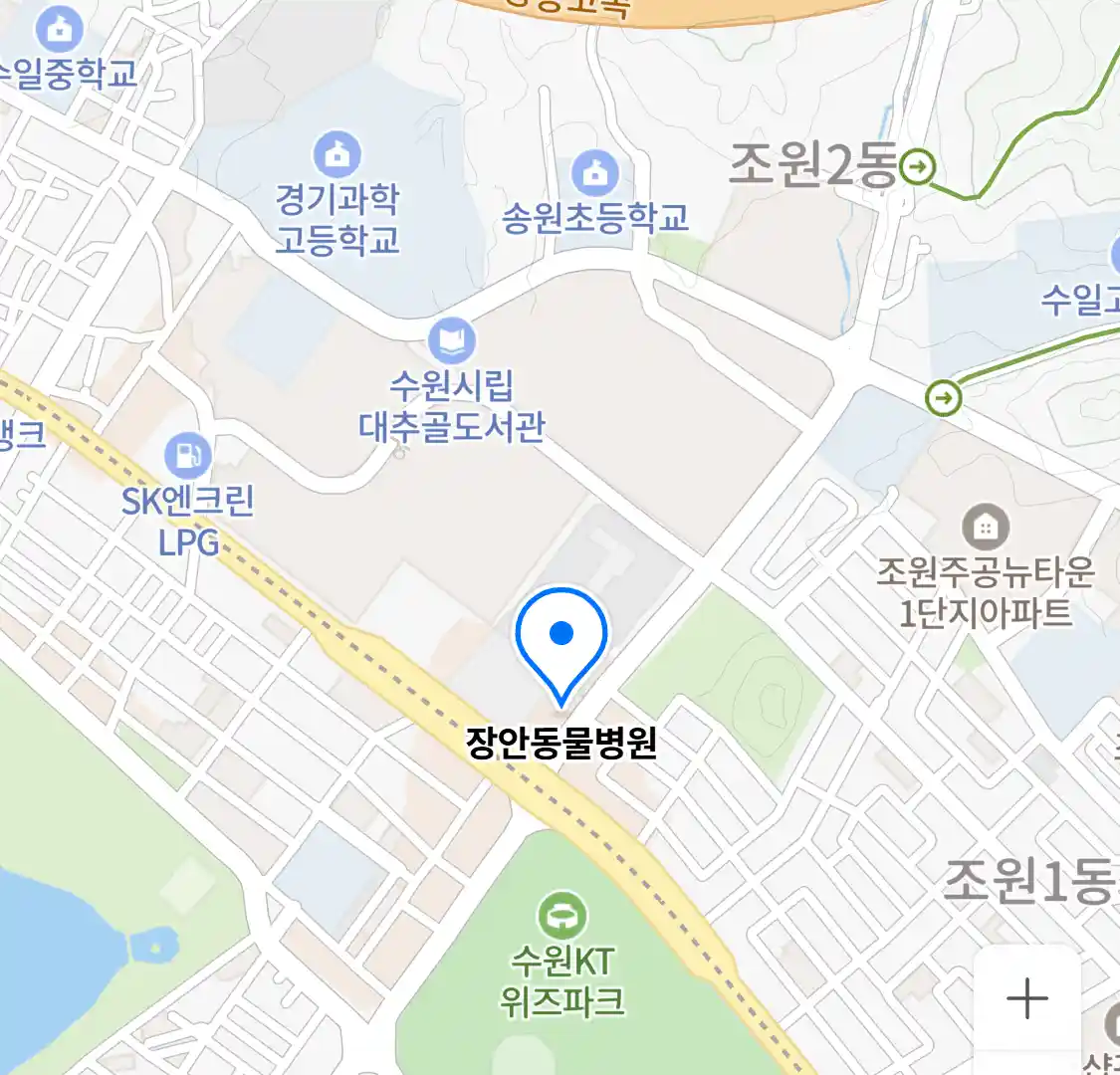 장안동물병원 위치