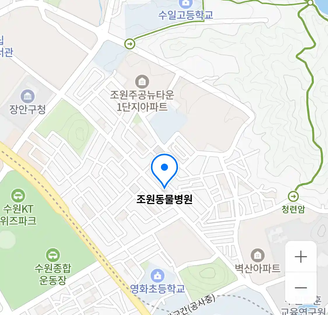 조원동물병원 위치