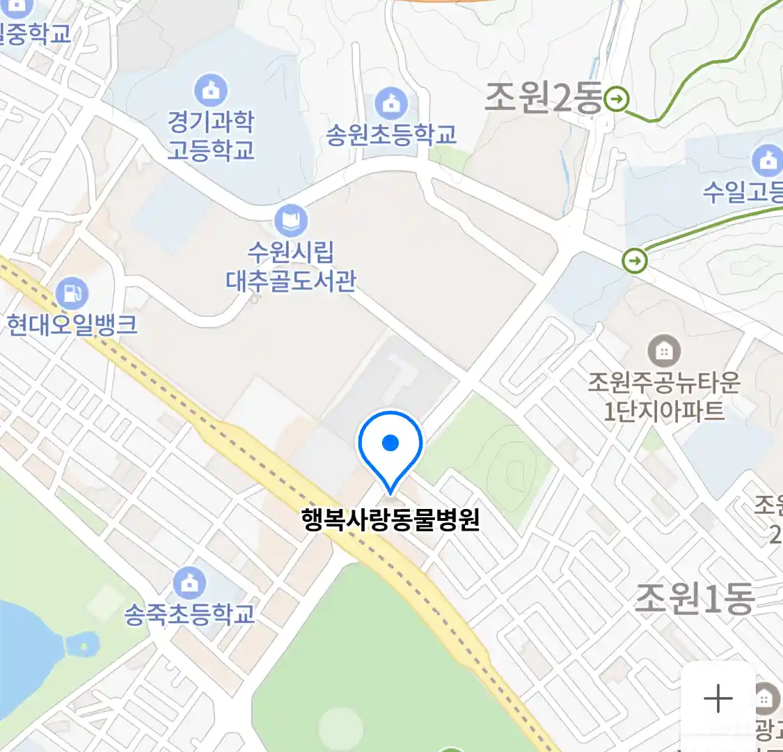 행복사랑동물병원 위치