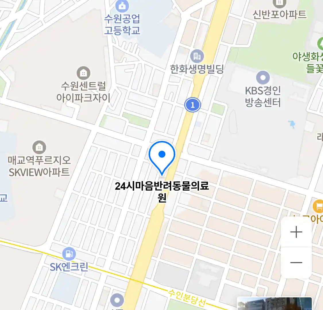 24시마음반려동물의료원 위치