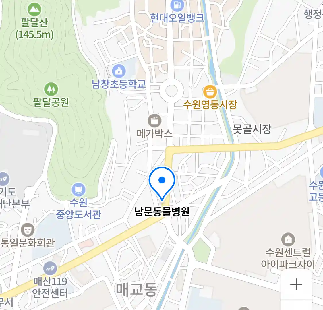 남문동물병원 위치