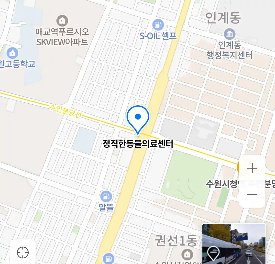정직한동물의료센터 위치