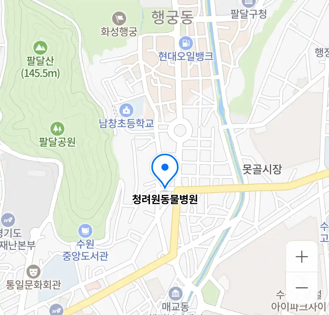 청려원동물병원 위치