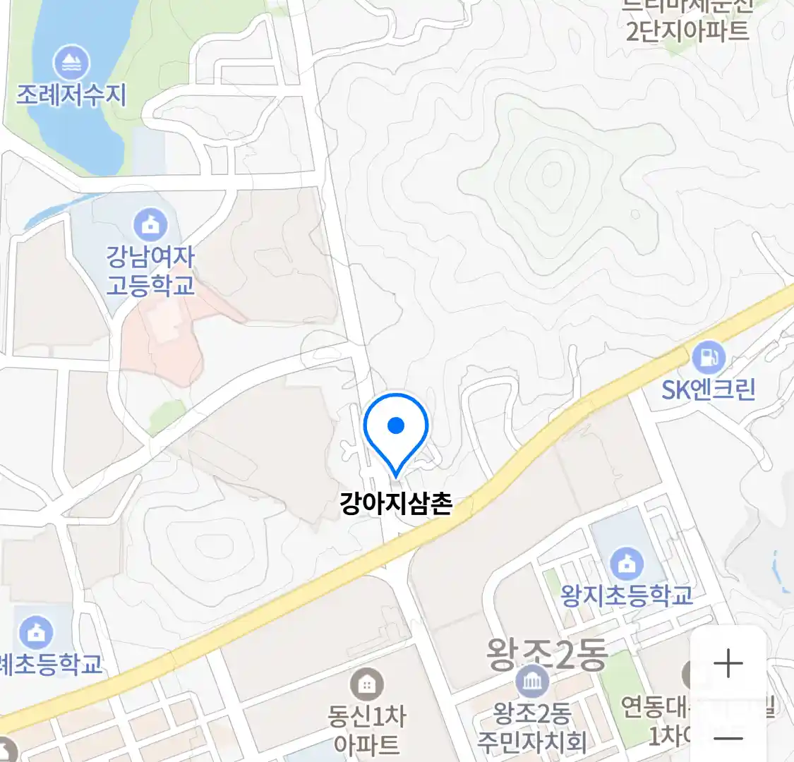 강아지삼촌 위치