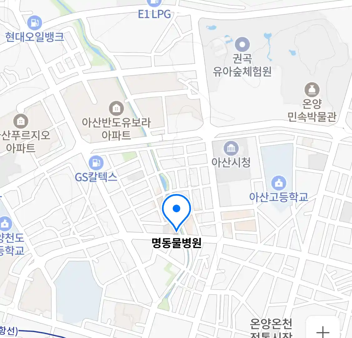 명동물병원 위치